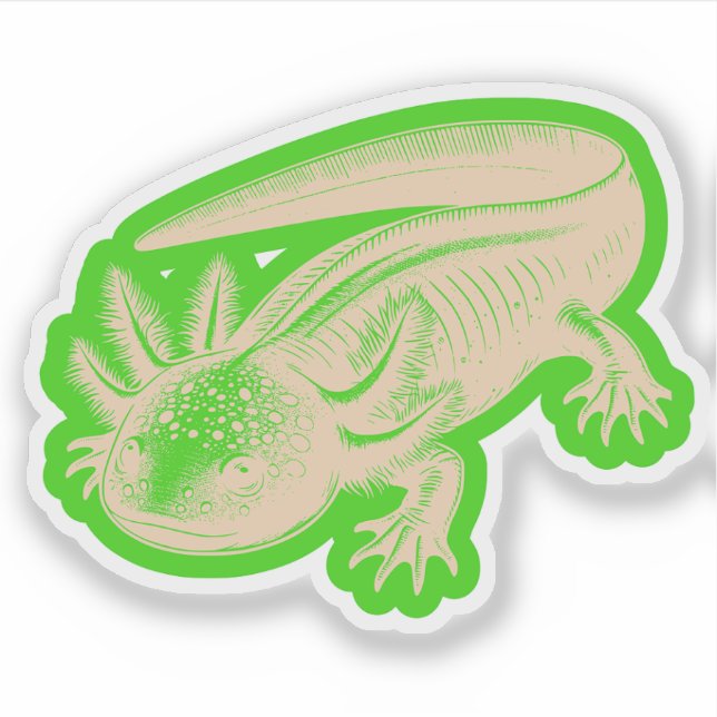 Sticker Cute Axolotl Nouveautés Dessins Profond Bois Palet (Devant)