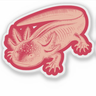 Sticker Cute Axolotl Nouveaux modèles Vinyl