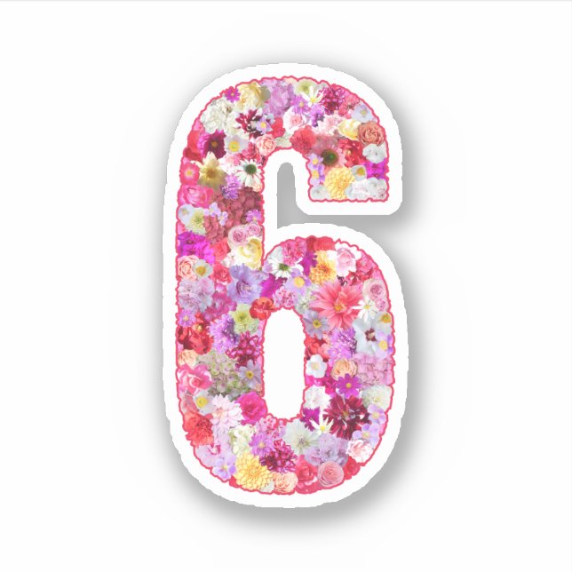 Sticker Cute Pink Decorative Botanical Floral Number 6 (Devant)