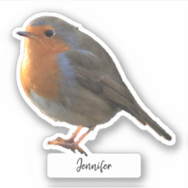 Sticker Cute Robin oiseau personnalisé découpe personnalis