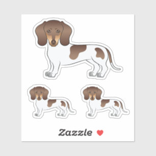 Sticker Dachshund à poil court chocolat et bronzé Chien mi