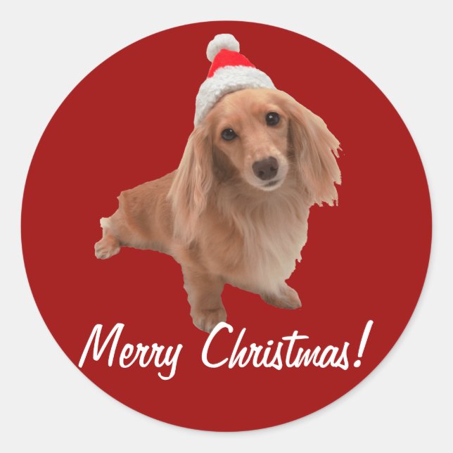 Sticker "Dackel" Weihnachten (Vorderseite)