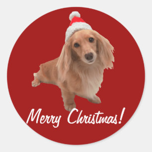 Sticker "Dackel" Weihnachten