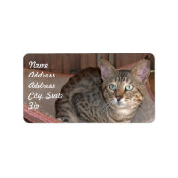 Sticker d'adresse de chat Savannah