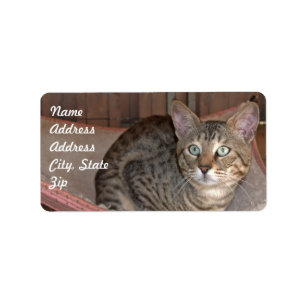 Sticker d'adresse de chat Savannah