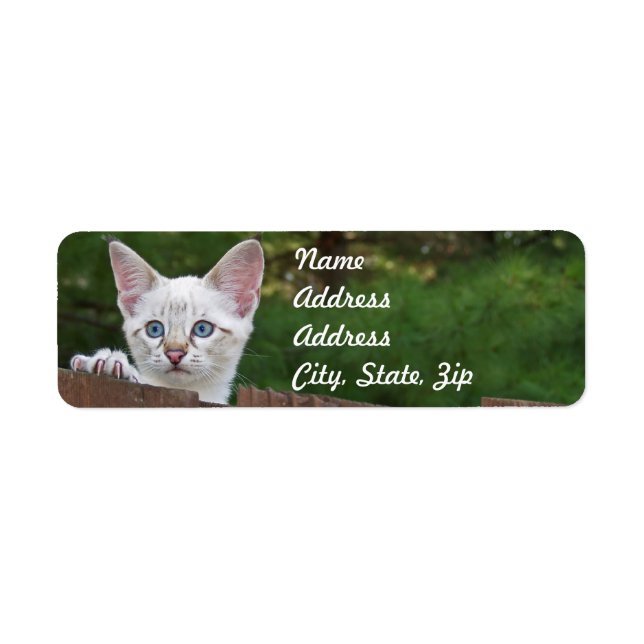 Sticker d'adresse de retour de chat Savannah blanc (Devant)