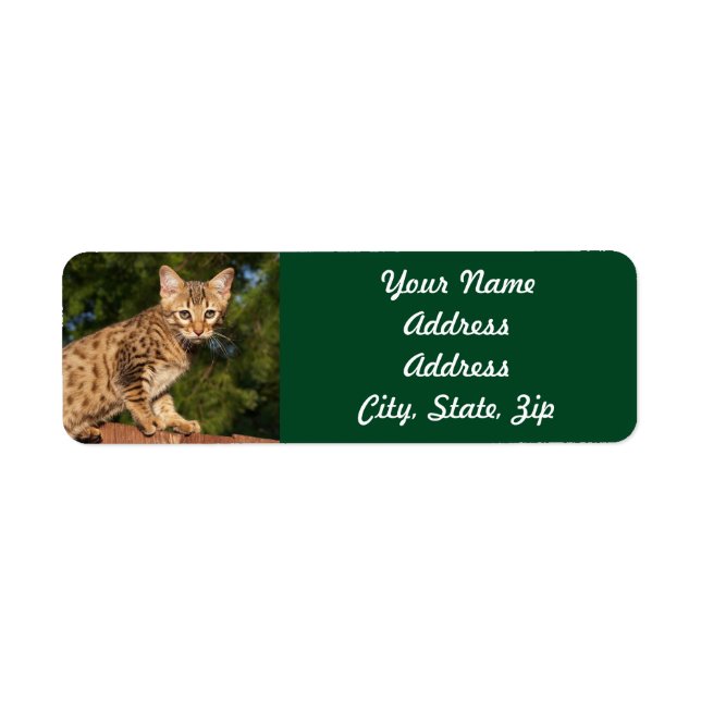 Sticker d'adresse de retour de Savannah Cat (Devant)