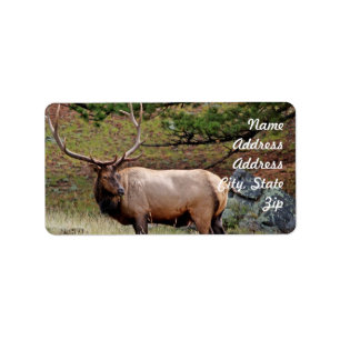Sticker d'adresse Elk