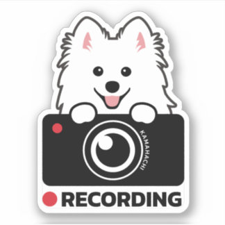 Sticker Dashcam japonaise avertissement Dashcam vinyle aut