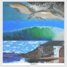 Dauphins, vagues, plage Victoria, tour Laguna
