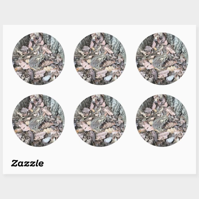 Sticker de chasse au trésor : ID animal de crapaud (Feuille)