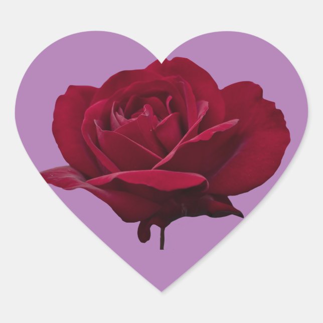 Sticker de coeur rose rouge (Devant)