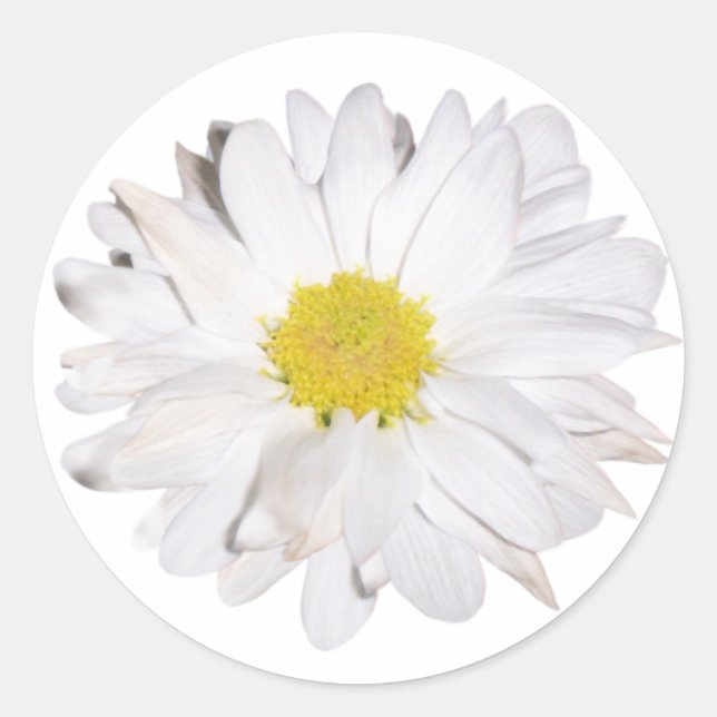 Sticker de marguerite (Devant)