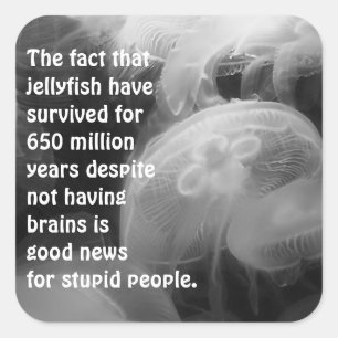 Sticker de méduse de lune