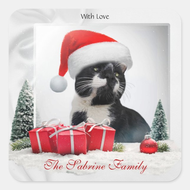 Sticker de Noël Casquette de chat sarcastique amus (Devant)