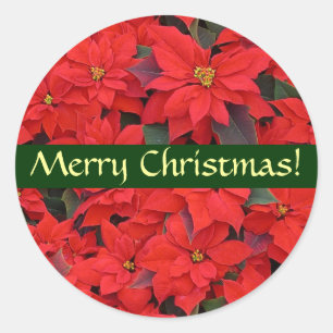 Sticker de Noël Red Poinsettias