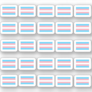 Sticker De nombreux petits drapeaux transgenres