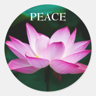 Sticker de paix en Lotus rose Zen Texte personnali