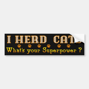 Sticker de pare-chocs pour chats