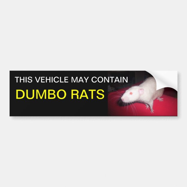 sticker de pare-chocs pour rats Dumbo (Devant)
