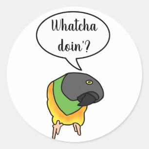 Sticker de perroquet Sénégal
