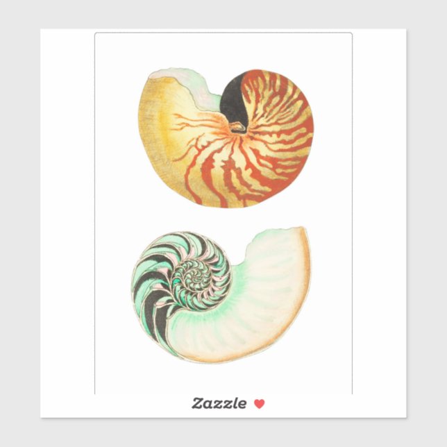 STICKER DE VINYLE COUPÉ SUR MESURE : NAUTILUS (Feuille)