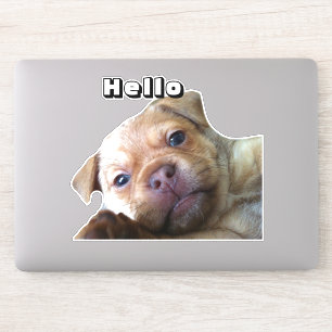 Sticker Décoration de téléphone Chiot Mignon Dit Bonjour