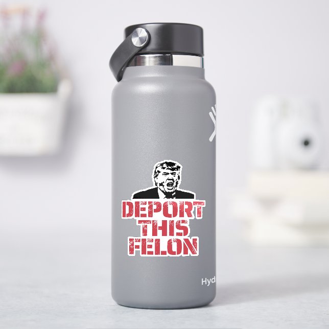 Sticker Déporter Ce Felon (HydroFlask)
