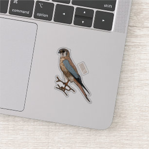 Sticker dessin animé d'oiseau-kestrel américain