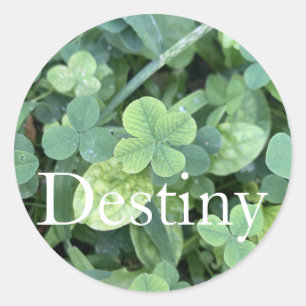 Sticker Destiny