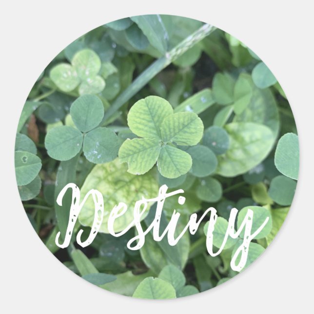 Sticker Destiny (Vorderseite)