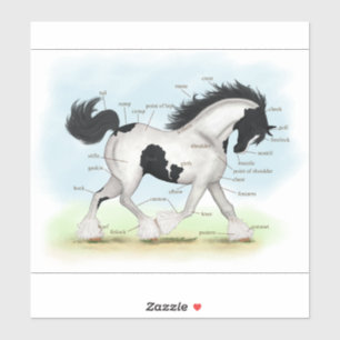 Sticker Diagramme équestre Piebald Gypsy Horse