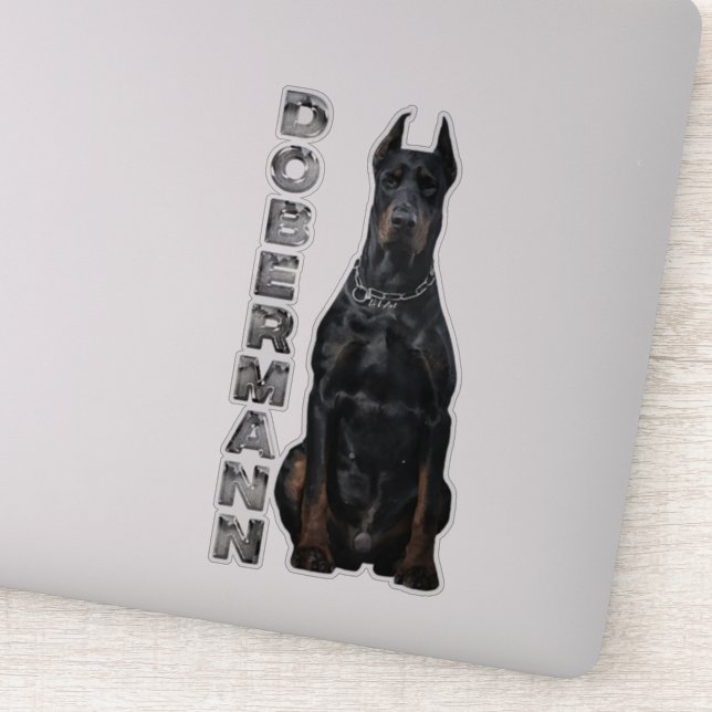 Sticker Doberman Pinscher (Détail)