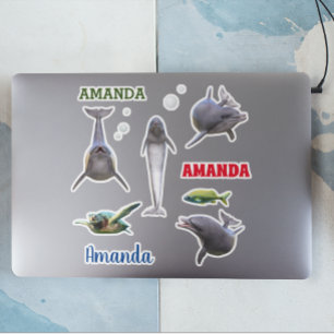 Sticker Dolphin Sea Life Set Nom Monogramme