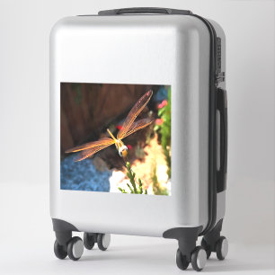 Sticker Dragonfly With Sunlight Gilded Wings