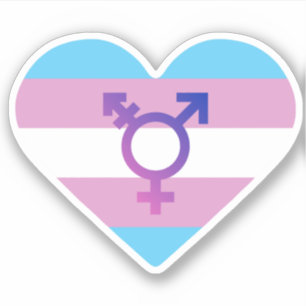 Sticker Drapeau de fierté trans cœur
