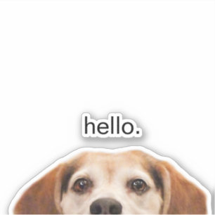 Sticker Drôle Beagle chien demi-visage Bonjour