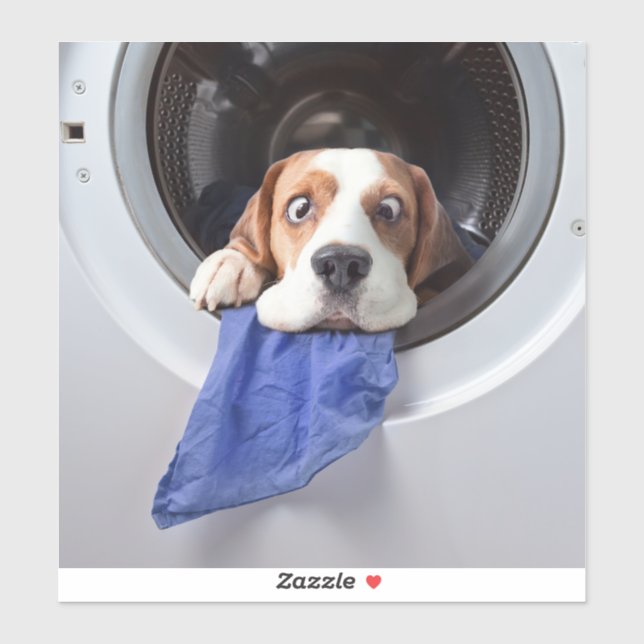 Sticker Drôle étourdissant beagle lavage délicat (Feuille)