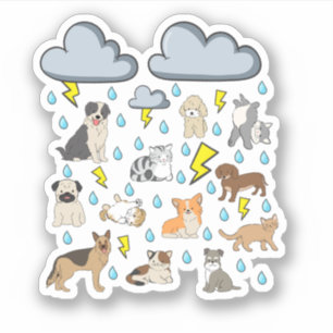 Sticker Drôle expression anglaise Il pleut des chats et de