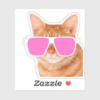 Sticker Drôle Orange Tabby Cat Pékin