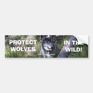sticker du pare-chocs de conservation de la faune 