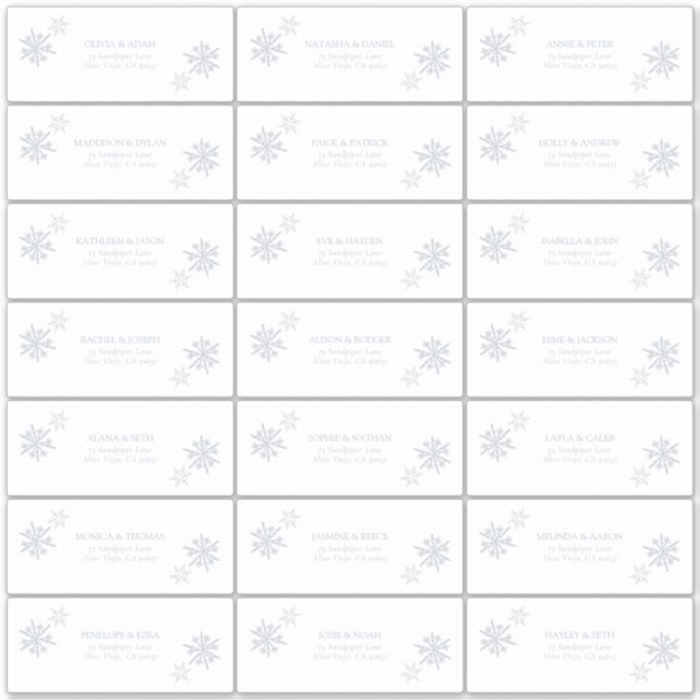Sticker Dusty Blue Snowflake Winter Modern Guest Adresse : (Devant)
