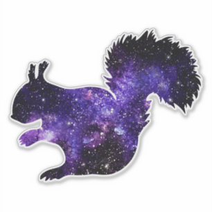 Sticker Écureuil galaxique