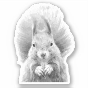 Sticker Écureuil noir et blanc