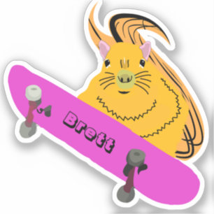 Sticker Écureuil vilain #502 Brett Skateboarding