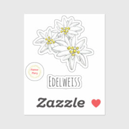 Sticker Edelweiss Fleur sauvage alpin dessiné à la main