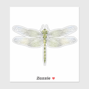 Sticker Elégant dessin de libellule