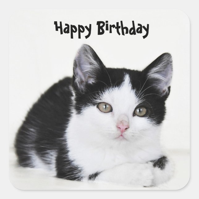 Sticker en chaton noir blanc réfléchi (Devant)