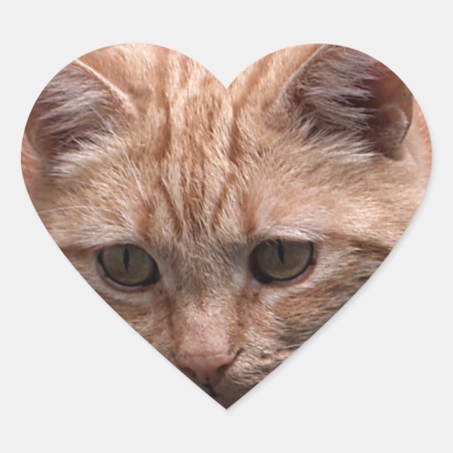 Sticker en forme de coeur de chat gingembre (Devant)