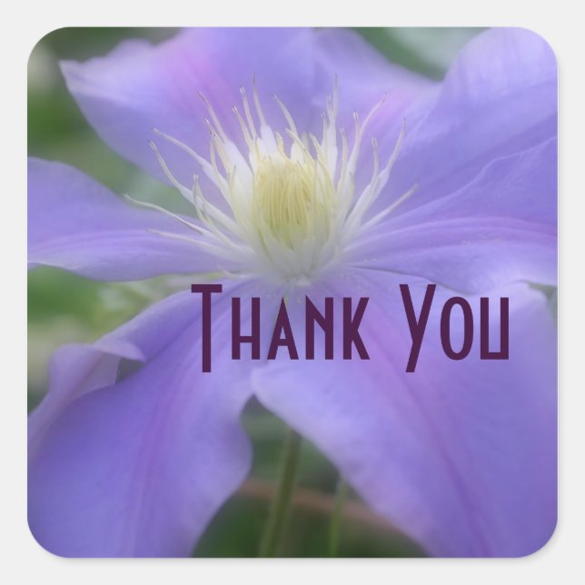 Sticker en Merci de Fleur Clematis violet (Devant)